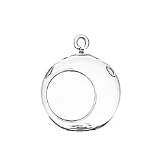 Wgv hanging terrarium for sale  Delivered anywhere in USA 