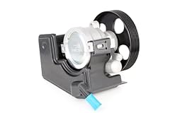 Ridex 12h0016 pompa usato  Spedito ovunque in Italia 