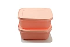 Tupperware gefrier behälter gebraucht kaufen  Wird an jeden Ort in Deutschland