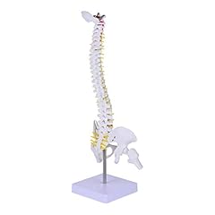 Ultechnovo flexible spine for sale  Delivered anywhere in Ireland