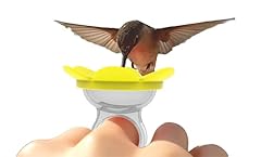 Zummr hummingbird ring for sale  Delivered anywhere in USA 