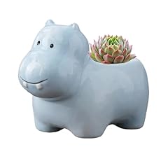 Cuteforyou succulent pots for sale  Delivered anywhere in USA 