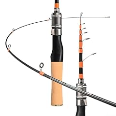 Canna pesca viaggio usato  Spedito ovunque in Italia 
