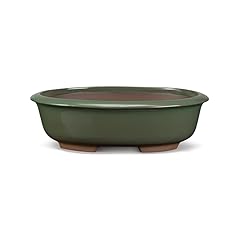 Certrè vaso bonsai usato  Spedito ovunque in Italia 