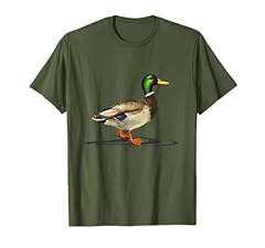 Mallard drake duck for sale  Delivered anywhere in UK