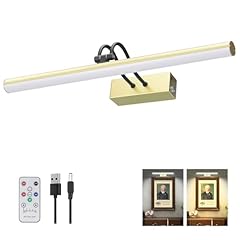 Raifoolly picture light for sale  Delivered anywhere in USA 