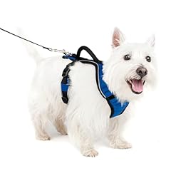 Petsafe harnais chien d'occasion  Livré partout en Belgiqu