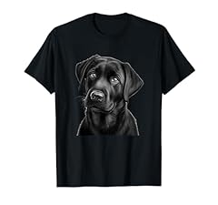 Cute black lab for sale  Delivered anywhere in UK