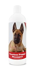 Healthy breeds belgian for sale  Delivered anywhere in USA 