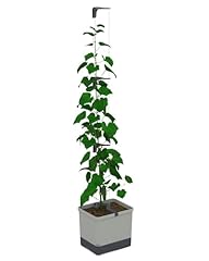 Gusta garden curt gebraucht kaufen  Wird an jeden Ort in Deutschland