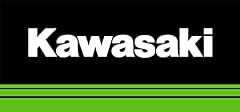 Kawasaki 49019 0013 for sale  Delivered anywhere in USA 