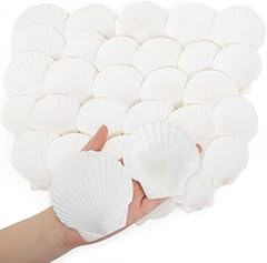 Skoolove 25pcs white for sale  Delivered anywhere in UK