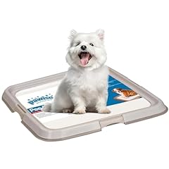 Pawise puppy pee for sale  Delivered anywhere in USA 