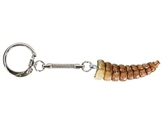 Real rattlesnake rattle for sale  Delivered anywhere in USA 