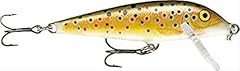 Rapala esca con usato  Spedito ovunque in Italia 