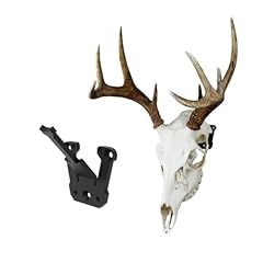 Sturdy european mount for sale  Delivered anywhere in USA 