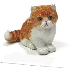 Little critterz cat for sale  Delivered anywhere in USA 