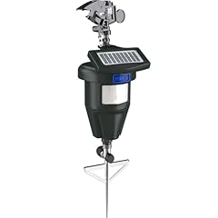 Motion activated lawn for sale  Delivered anywhere in USA 