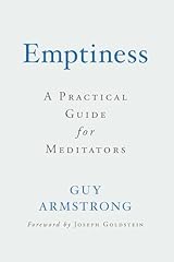 Emptiness practical guide for sale  Delivered anywhere in UK