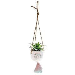 Karma hanging succulent for sale  Delivered anywhere in USA 