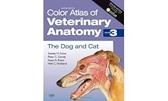 Color atlas veterinary gebraucht kaufen  Wird an jeden Ort in Deutschland