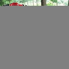 52cc petrol excavator for sale  Delivered anywhere in UK