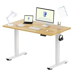 Flexispot en1 one for sale  Delivered anywhere in USA 