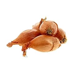 Echalote bio sachet d'occasion  Livré partout en France