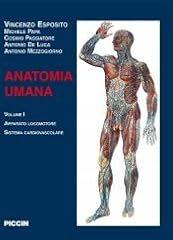 Anatomia umana volumi usato  Spedito ovunque in Italia 