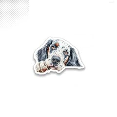 English setter sticker for sale  Delivered anywhere in USA 