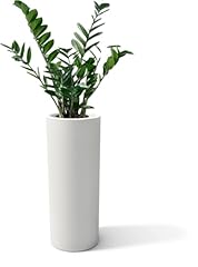 Kloris vaso moderno usato  Spedito ovunque in Italia 