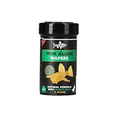 Fishscience mini algae for sale  Delivered anywhere in UK