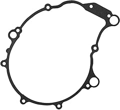 Denny cycles racing for sale  Delivered anywhere in USA 