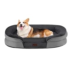 Dwanton orthopedic dog for sale  Delivered anywhere in USA 