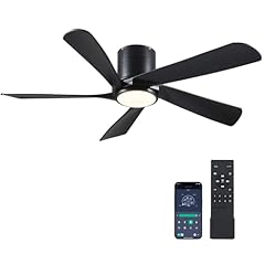Chesur black ceiling for sale  Delivered anywhere in USA 