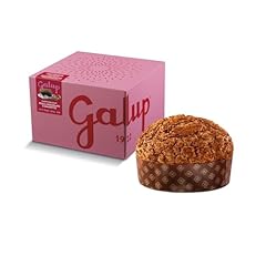 Galup panettone artigianale usato  Spedito ovunque in Italia 