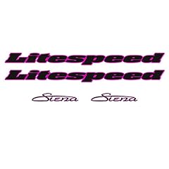 Litespeed siena frame for sale  Delivered anywhere in Ireland
