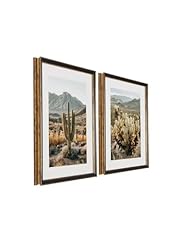 Framed cactus landscape for sale  Delivered anywhere in USA 