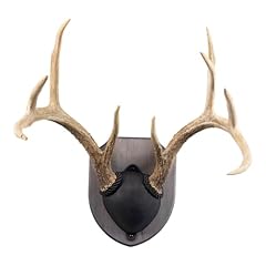 Walnut hollow country for sale  Delivered anywhere in USA 