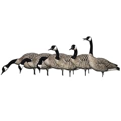 Avian axp honkers for sale  Delivered anywhere in USA 