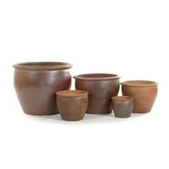 Woodlodge 31cm thai for sale  Delivered anywhere in UK