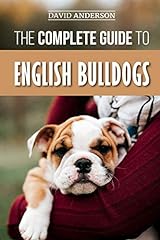Complete guide english for sale  Delivered anywhere in USA 