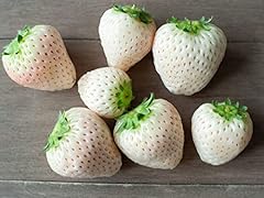 White strawberry seeds for sale  Delivered anywhere in USA 