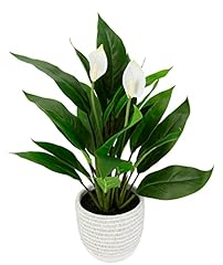 Plante spathiphylle artificiel d'occasion  Livré partout en France