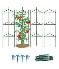 Alnintte pack tomato for sale  Delivered anywhere in USA 