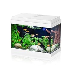 Aqpet acquario vetro usato  Spedito ovunque in Italia 