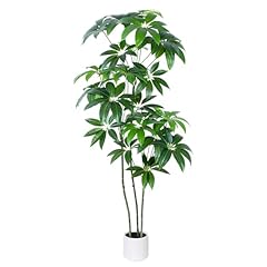 Yepdin money tree for sale  Delivered anywhere in USA 