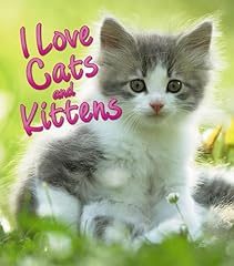 Love cats kittens for sale  Delivered anywhere in USA 