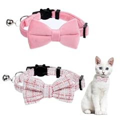 Pack cute cat for sale  Delivered anywhere in UK