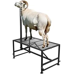 800 lbs goat for sale  Delivered anywhere in USA 